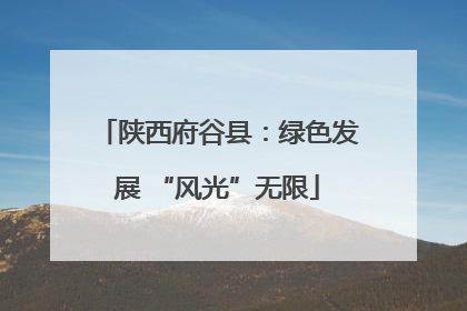 陕西府谷县：绿色发展 “风光”无限